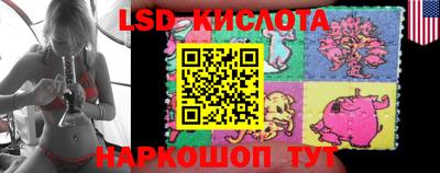 стаф Малгобек