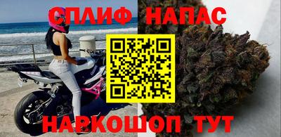 стаф Малгобек