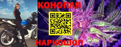 гидра Малоярославец