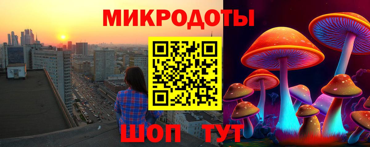 как найти закладки  Галлюциногенные грибы GOLDEN TEACHER  Вход с VPN  Щёлково 